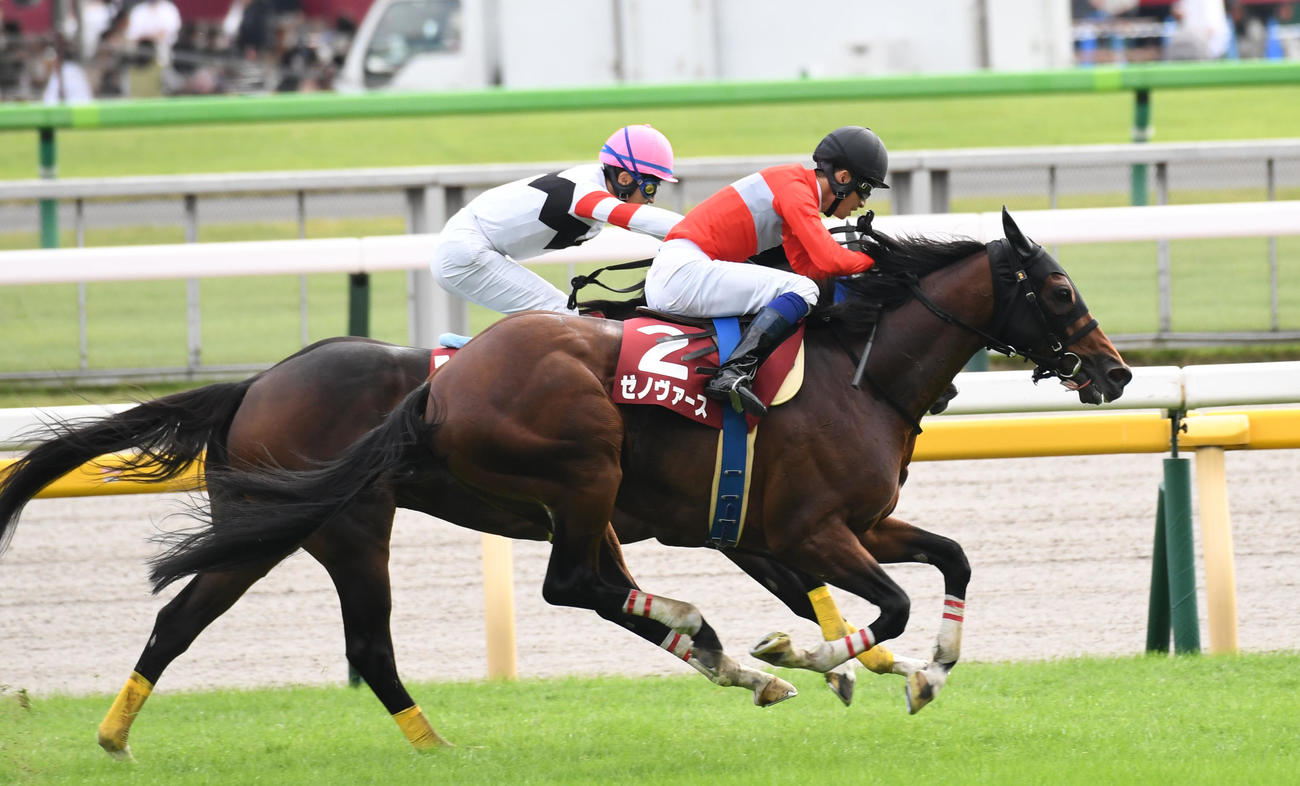 東京ハイジャンプを制したゼノヴァース（手前）、2着ホッコーメヴィウス（撮影・柴田隆二）