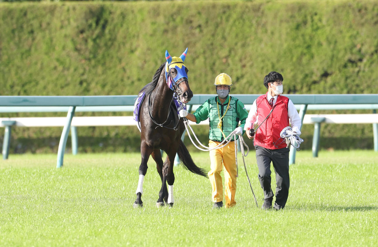 本馬場入場時に放馬したサウンドビバーチェ