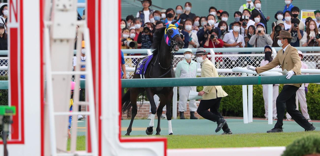 岩田望騎手を振り落とし放馬したサウンドビバーチェ