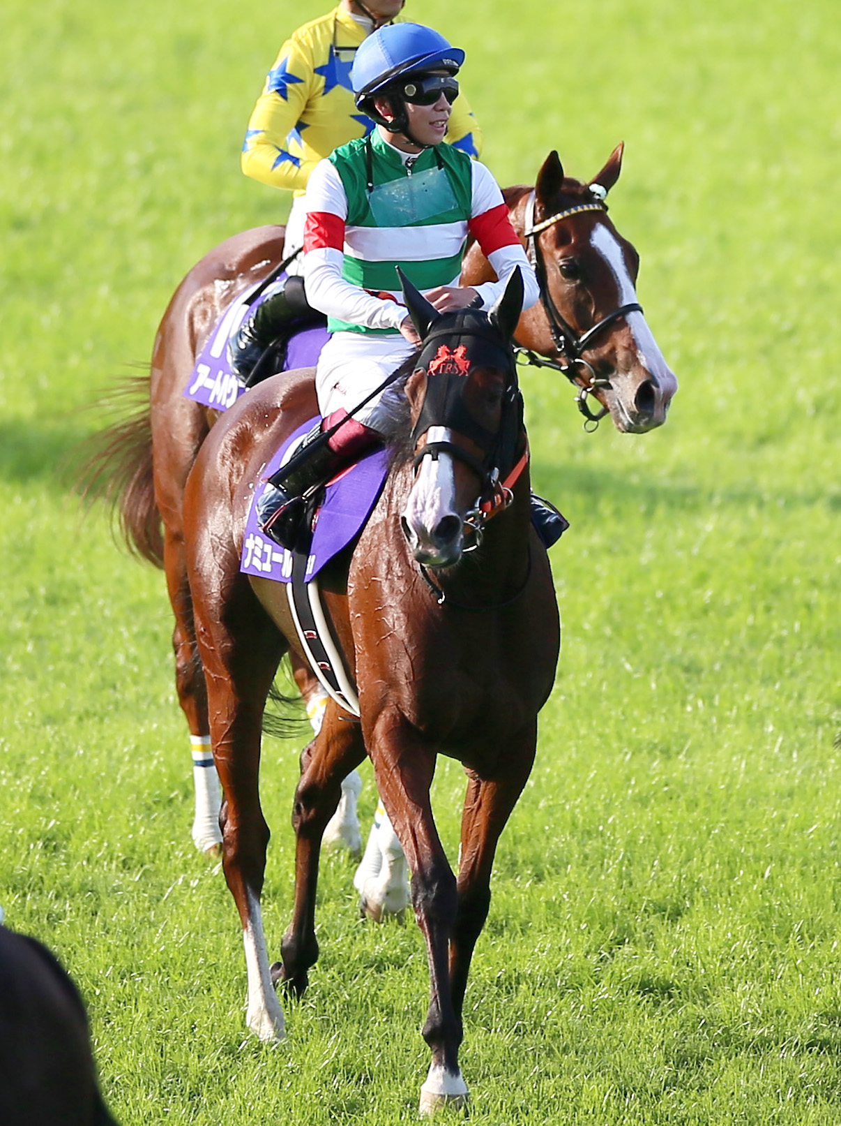 2着に終わったナミュールと横山武騎手
