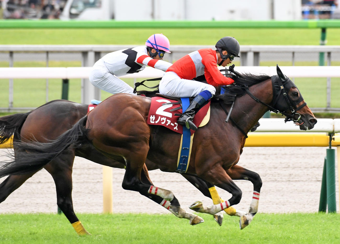 東京HJを制したゼノヴァース（手前）（撮影・柴田隆二）