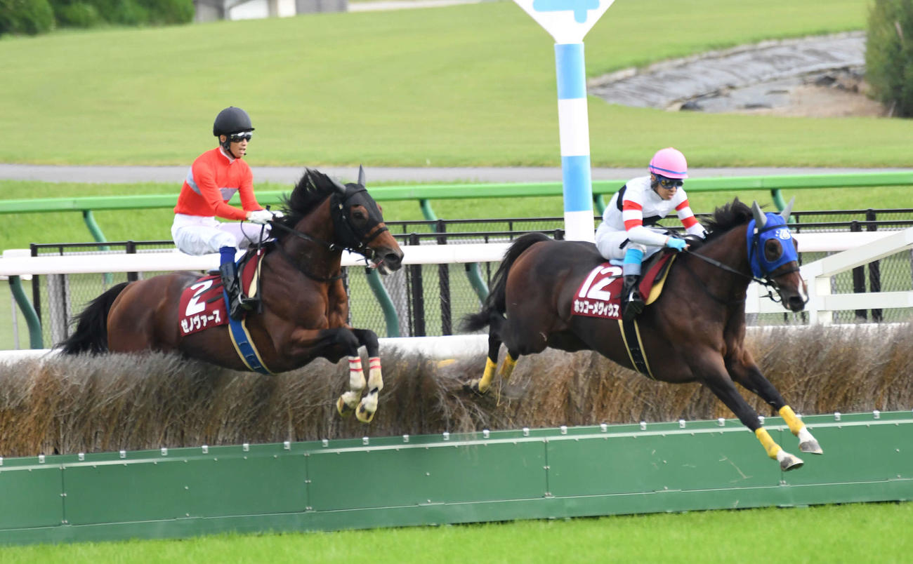 障害を飛越するゼノヴァース（左）、2着ホッコーメヴィウス（撮影・柴田隆二）