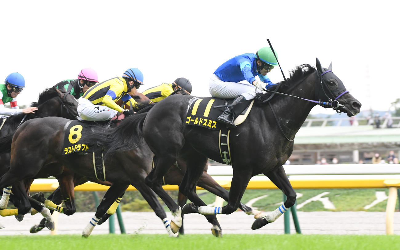 11R、オクトーバーSを制したゴールドスミス（右）、2着ラストドラフト（左）（撮影・柴田隆二）