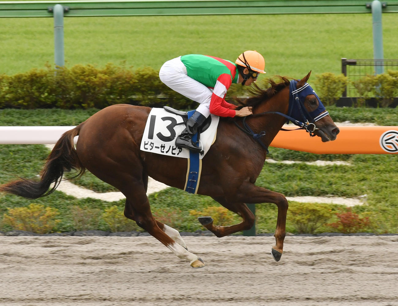 4R、新馬戦を制したビターゼノビアと津村騎手（撮影・柴田隆二）