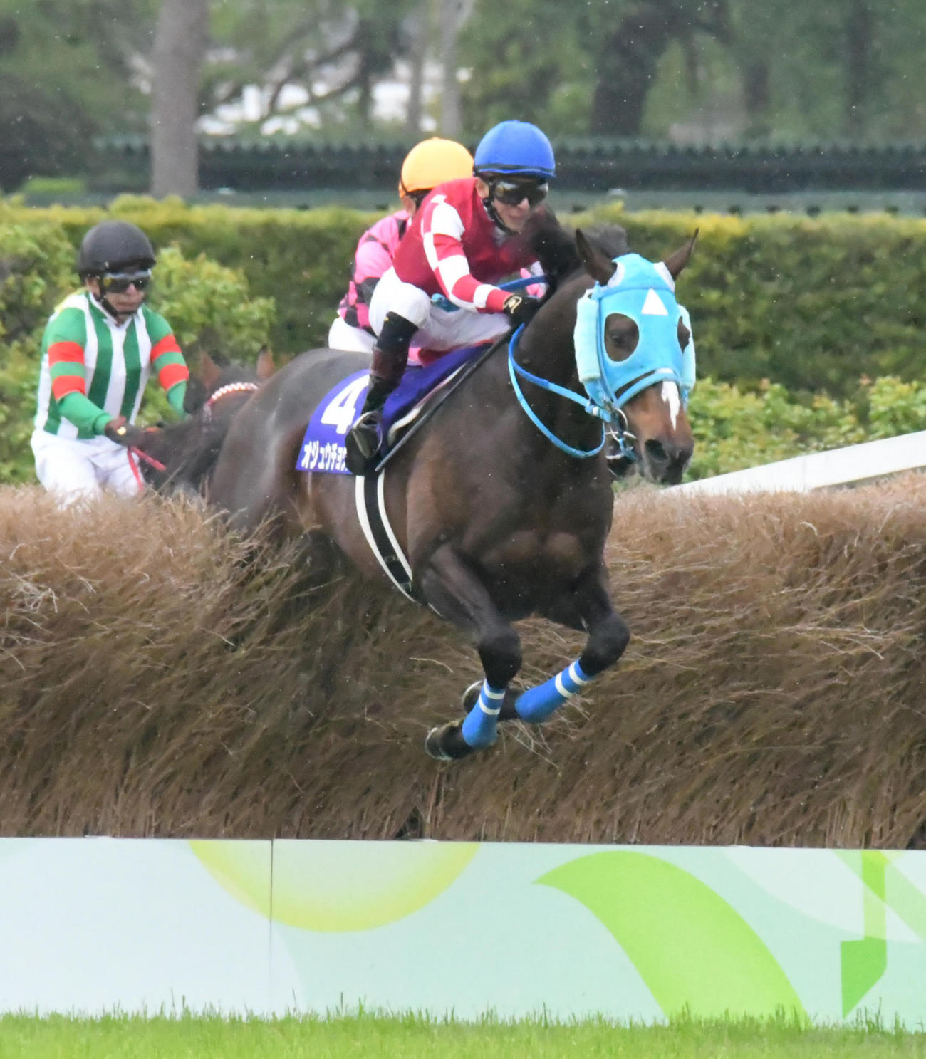 21年4月、中山グランドジャンプで大竹柵を飛越するオジュウチョウサン