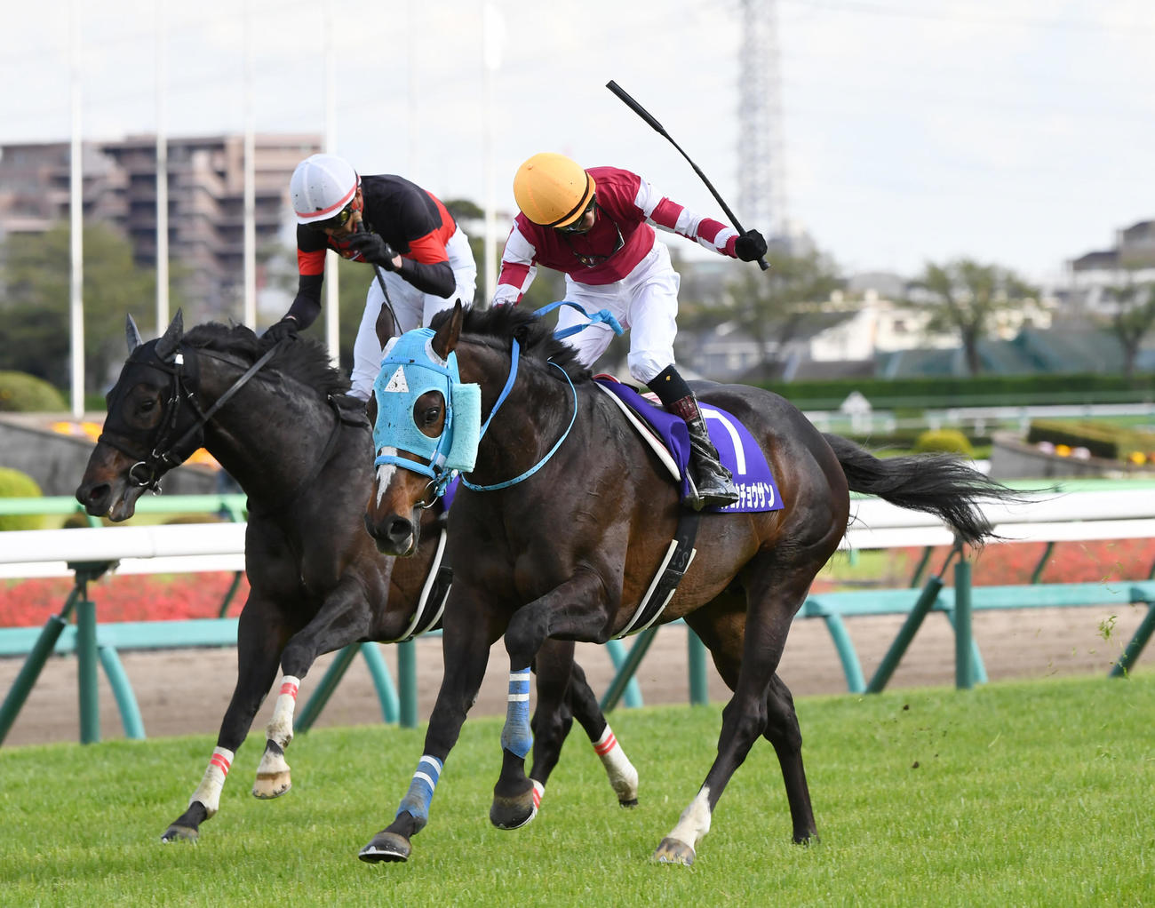 22年4月、オジュウチョウサンで中山グランドJを制した石神騎手はゴールでムチを高々と上げる