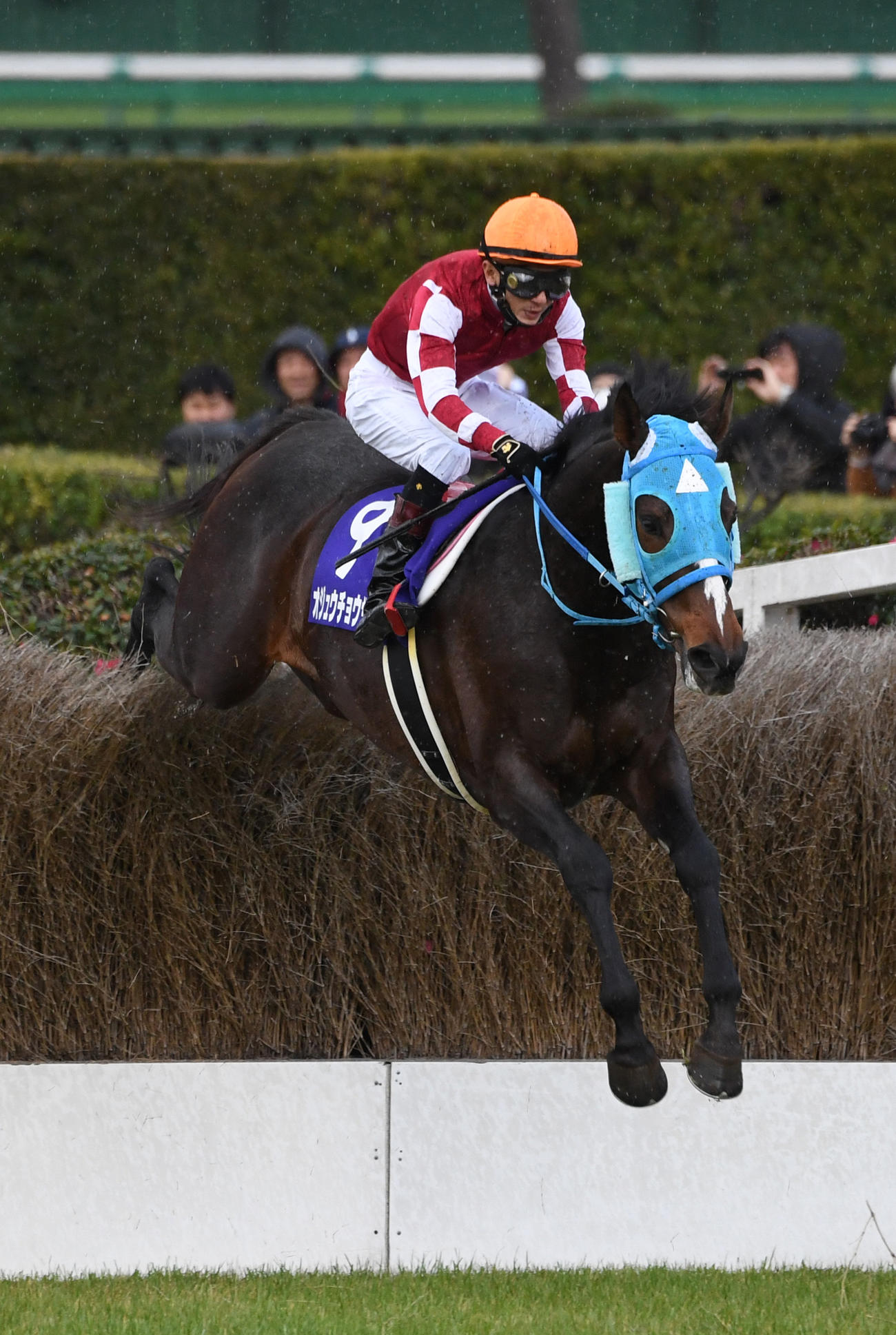 16年12月、中山大障害で大竹柵を飛越するオジュウチョウサンと石神騎手