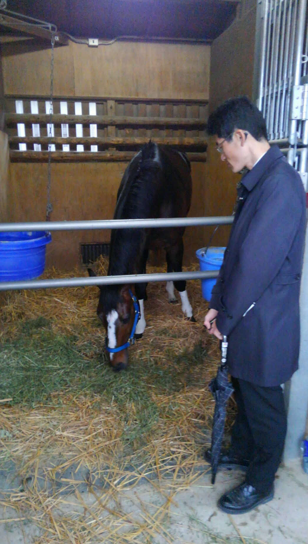 18年4月、J・G1・5連勝の偉業を成し遂げ、レース後の馬房で草をほおばるオジュウチョウサン