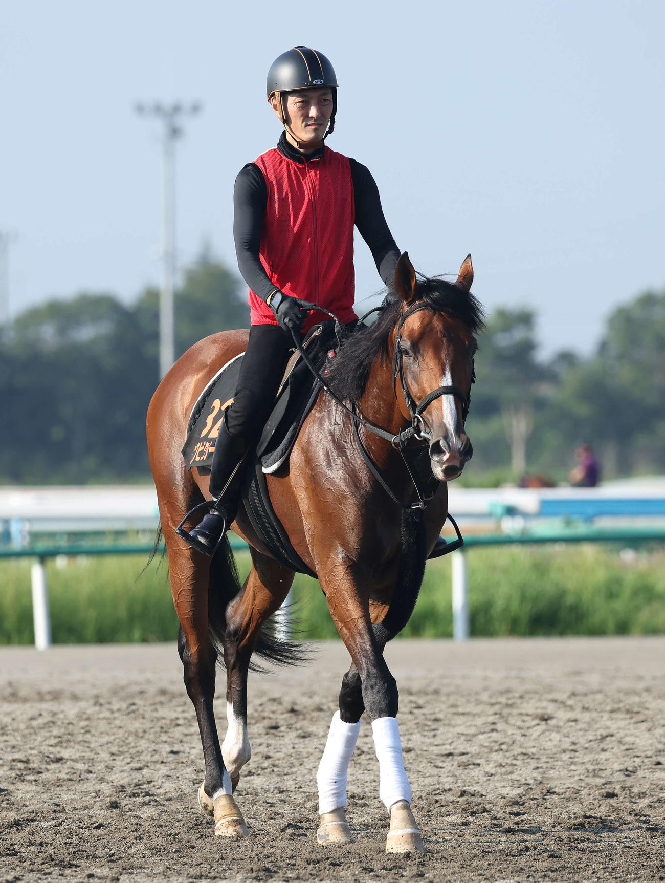 9月14日、調教を終えて馬場を出るアスクビクターモア
