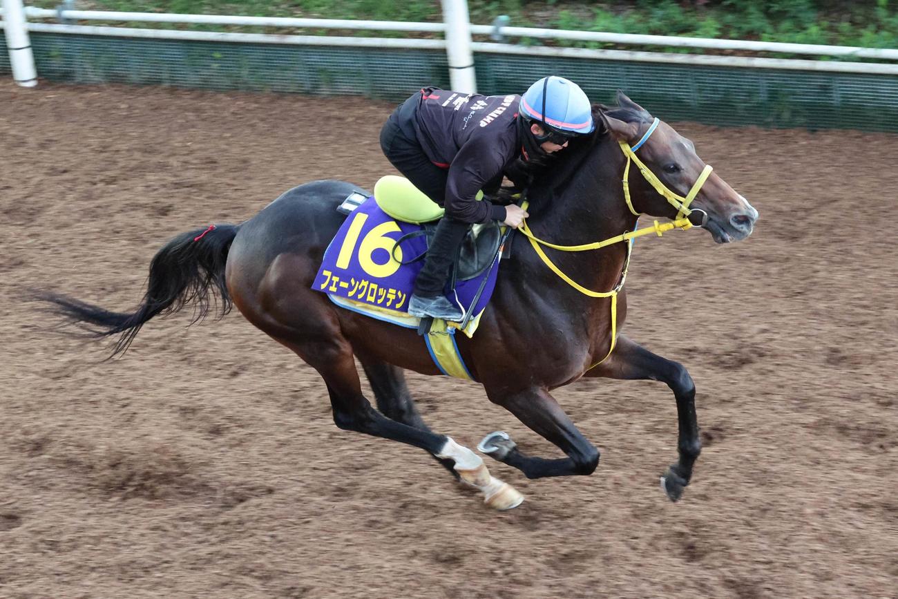 松若騎手が騎乗し、坂路を駆け上がるフェーングロッテン