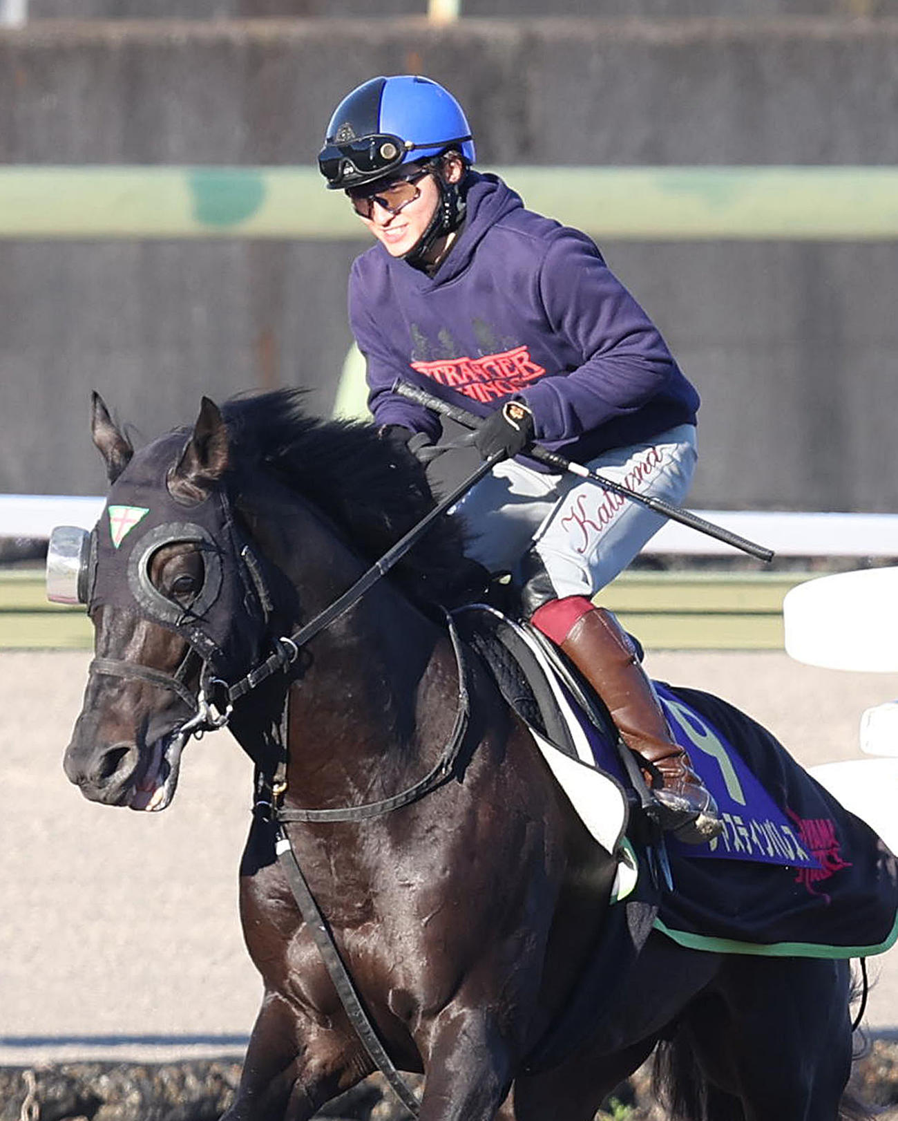 鮫島駿騎手を背に馬場入りするジャスティンパレス（撮影・白石智彦）