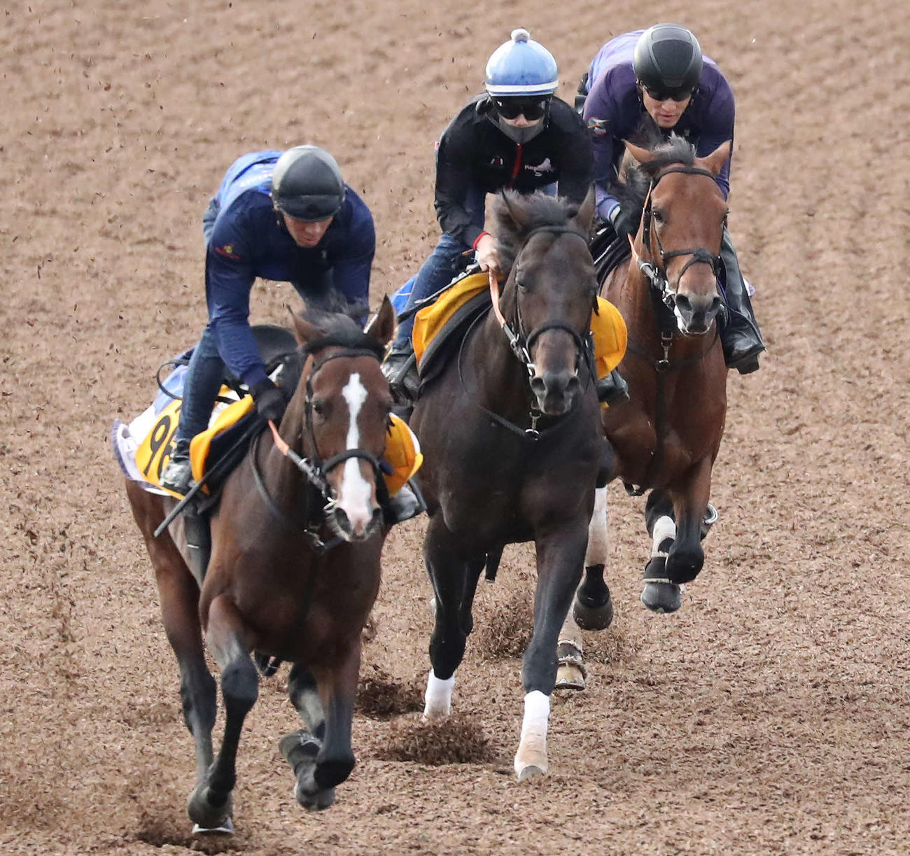 ドゥラドーレス（右）は美浦ウッドを3頭併せで追い切られた（撮影・丹羽敏通）