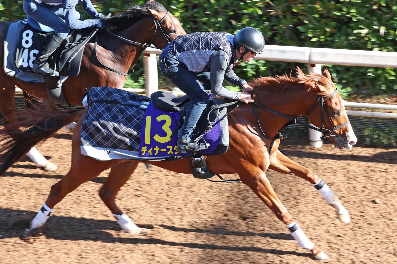 坂路で併せ馬に先着するディナースタ（右）
