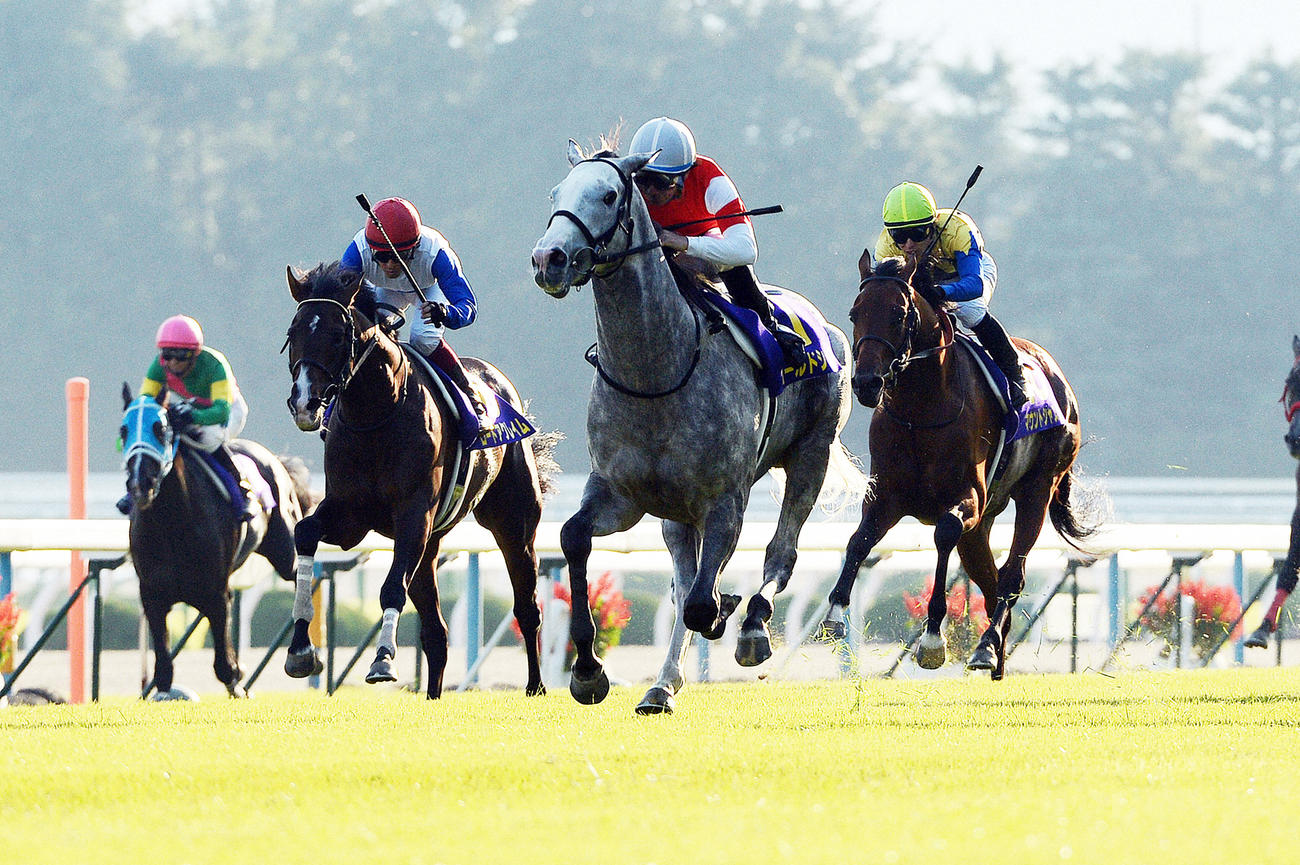 12年10月、内田博幸騎手を背に他馬を突き放して菊花賞を制するゴールドシップ