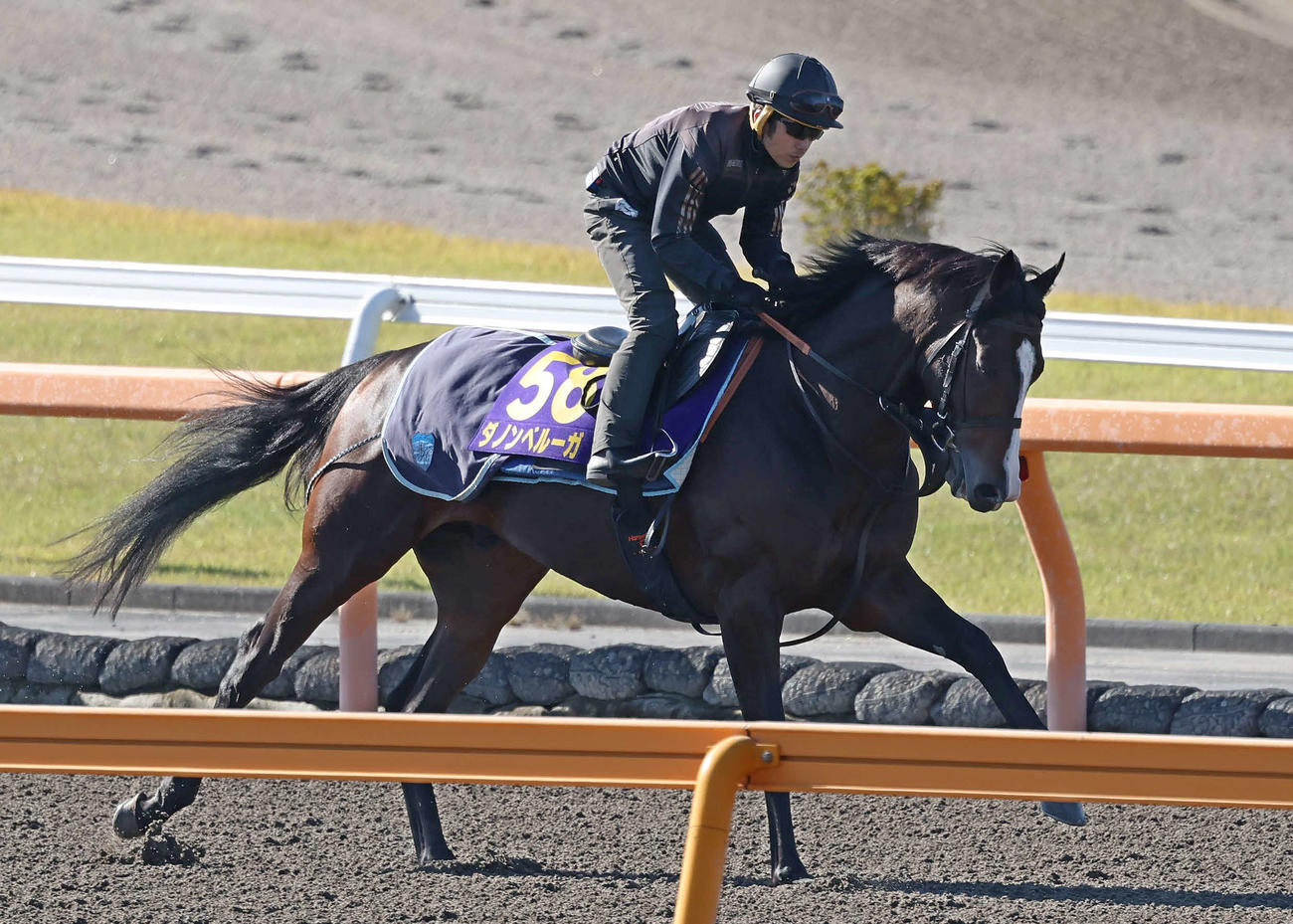 ダートコースで運動するダノンベルーガ（撮影・丹羽敏通）