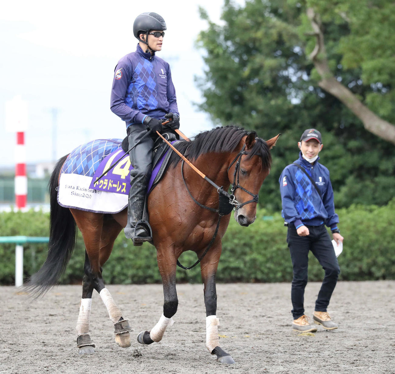 調教を終えて馬場を出るドゥラドーレスと宮田師（奥）（2022年10月19日撮影）