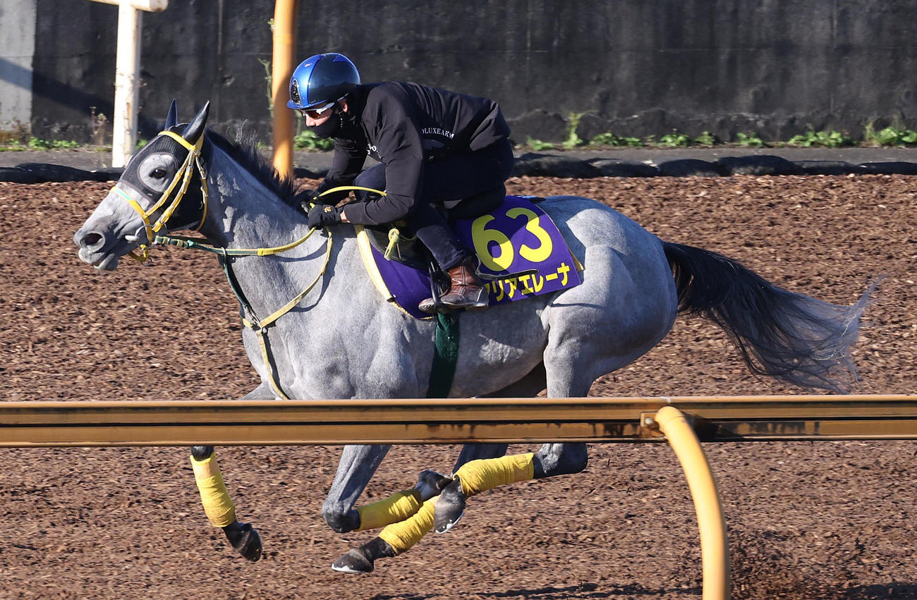 松山騎手を背にCウッドを単走で追い切るマリアエレーナ（撮影・白石智彦）