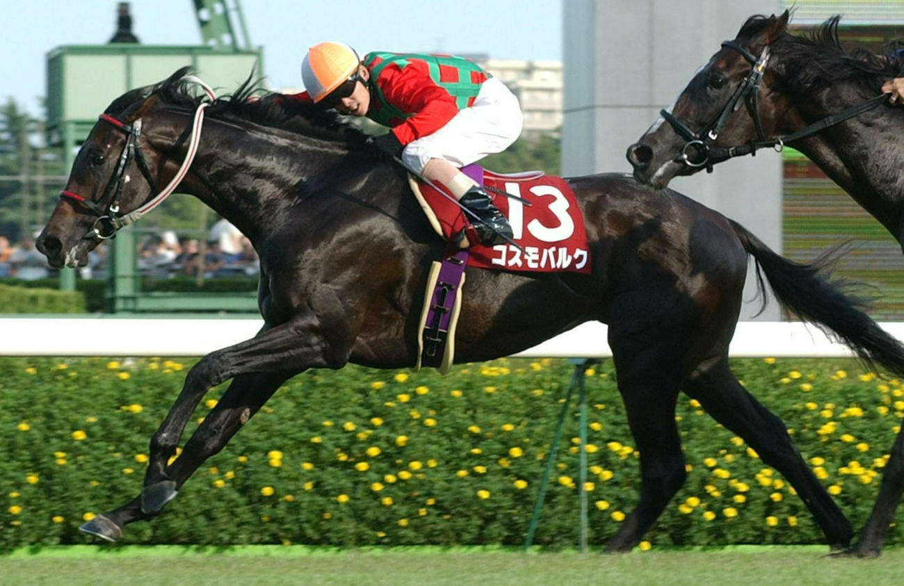 セントライト記念に勝利するコスモバルクと五十嵐冬樹騎手（2004年9月19日撮影）