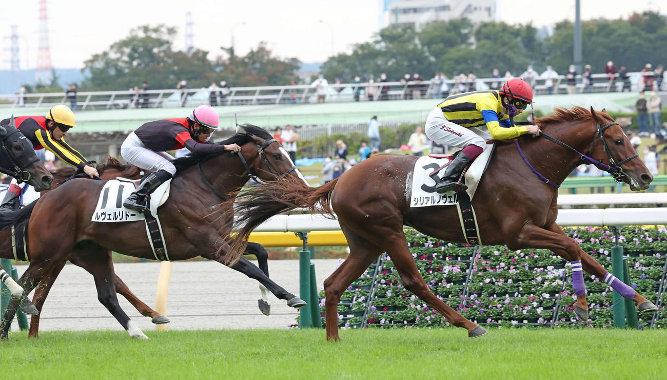 東京5R、2歳新馬戦を制したシリアルノヴェルと横山武騎手（右）（撮影・丹羽敏通）