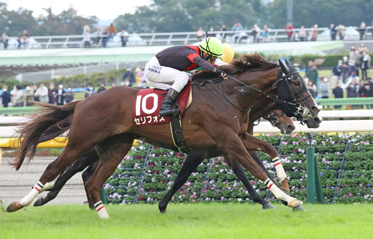 東京11R、ゴール手前で差し切って富士Sを制したセリフォスと藤岡佑騎手（手前）（撮影・丹羽敏通）