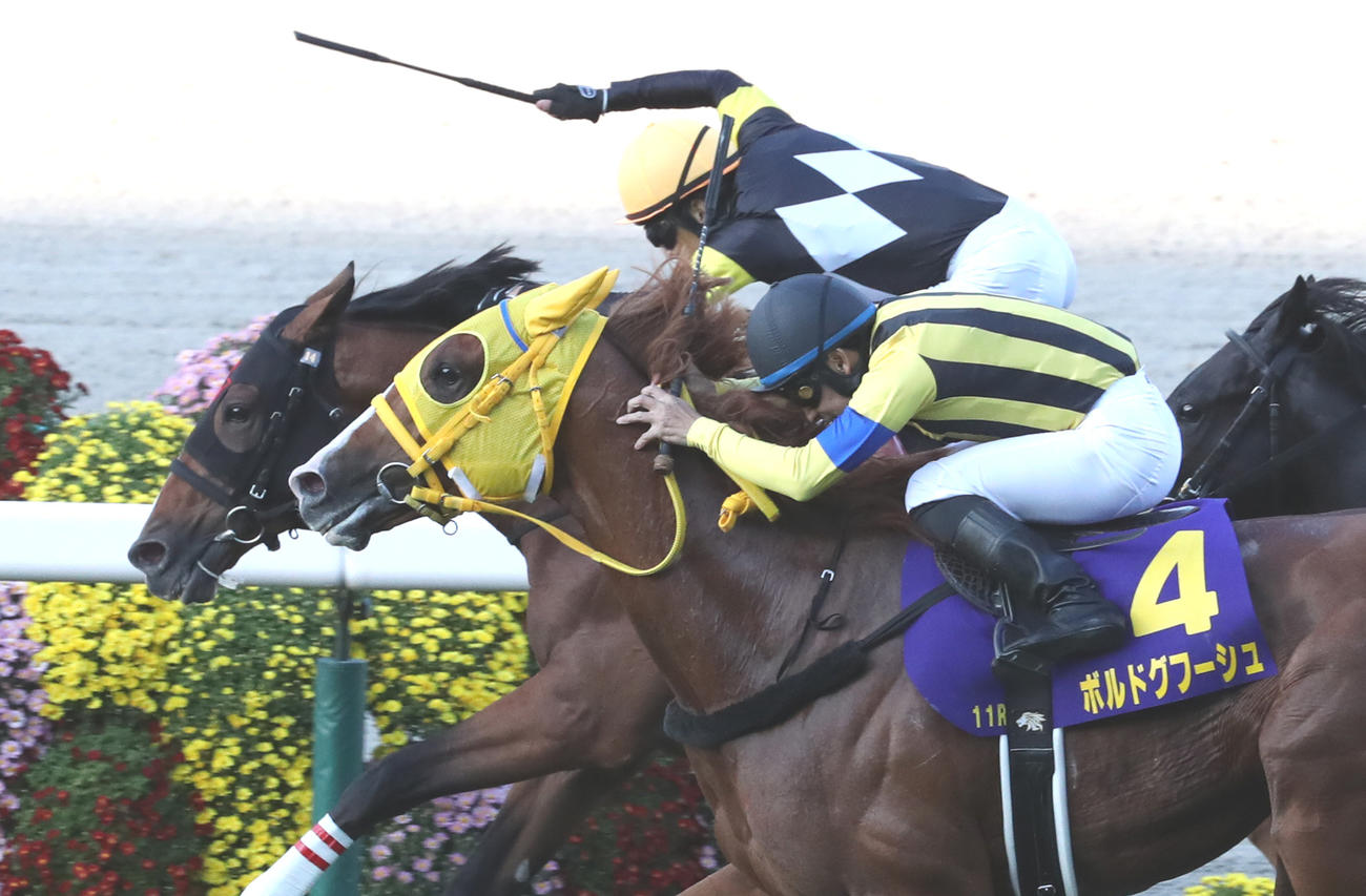 ボルドグフーシュ（手前）に鼻差で勝利したアスクビクターモア
