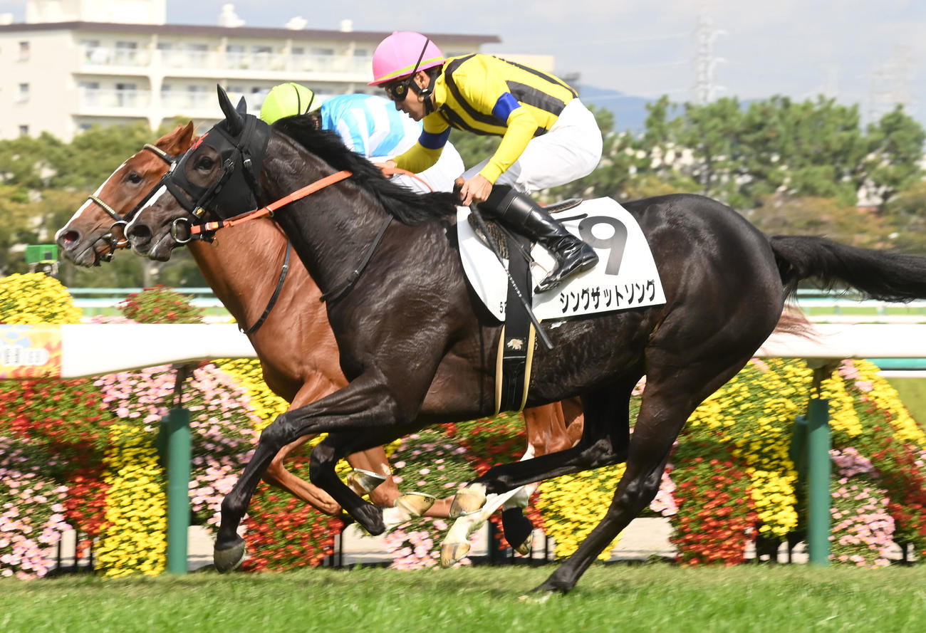 外から伸びたシングザットソング（手前）が差し切って新馬戦を制した（撮影・前岡正明）