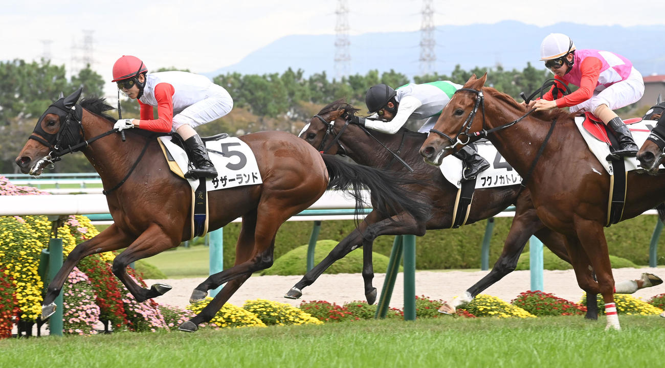 逃げ切って新馬戦を制したサザーランド（撮影・前岡正明）