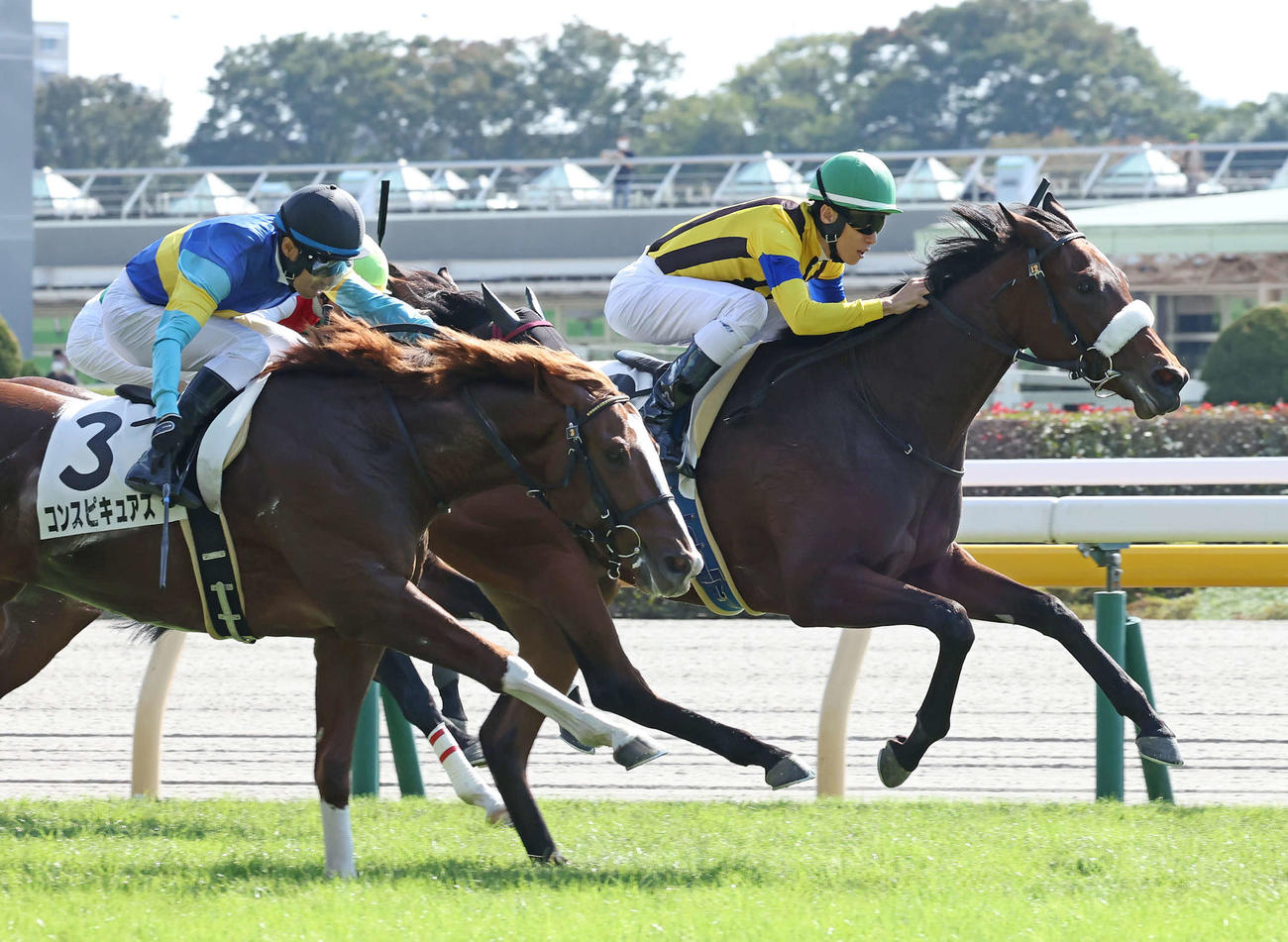 東京4R、2歳新馬戦を制したフォーカルフラワーと津村騎手（右）（撮影・丹羽敏通）
