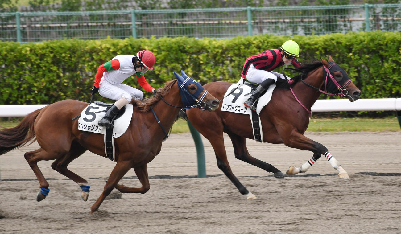 新潟5R、新馬戦を制したバンブーグローブ（右）と2着スペシャリスト（撮影・柴田隆二）