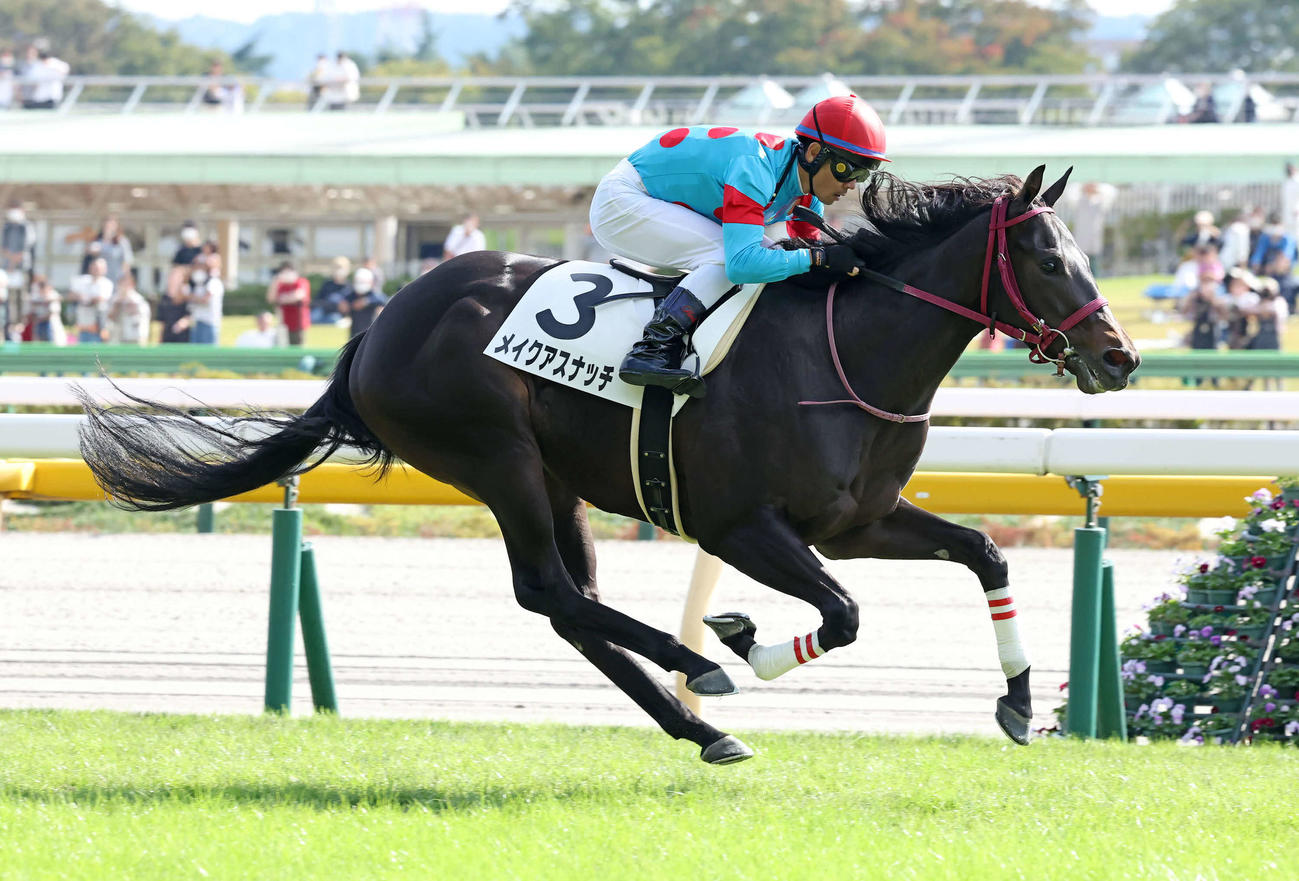 東京6R、2歳1勝クラスを制したメイクアスナッチと戸崎騎手（撮影・丹羽敏通）