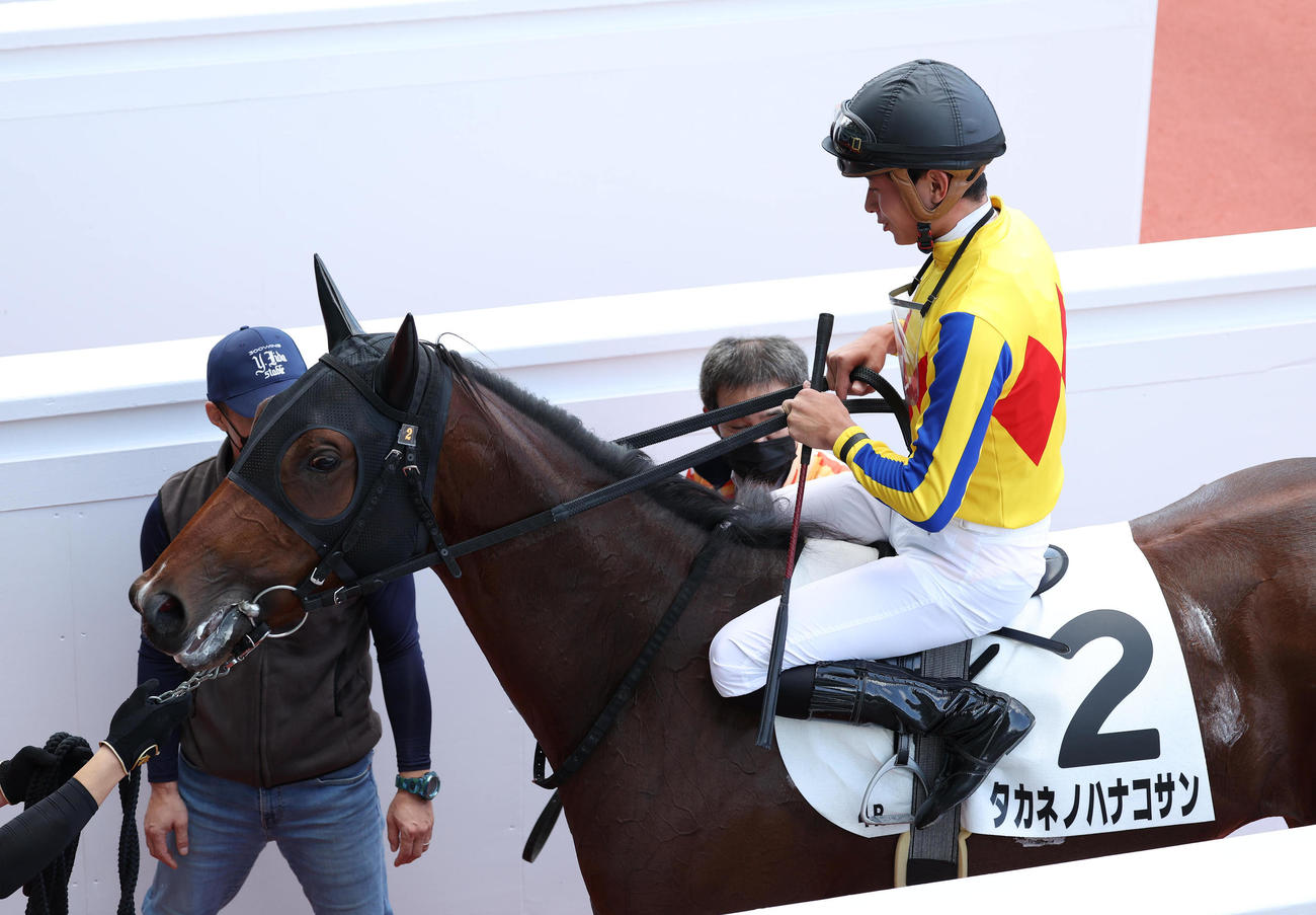阪神4R、2歳新馬戦を快勝したタカネノハナコサン（撮影・白石智彦）