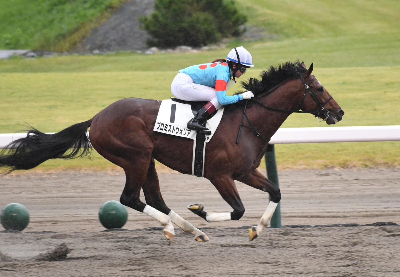新潟8R、1着プロミストウォリアの今村騎手はJRA女性騎手年間最多を45勝に更新した（撮影・柴田隆二）