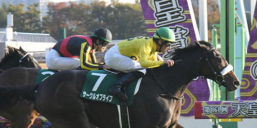 ゴール前追い込んだサークルオブライフとM.デムーロ騎手が優勝=2021年10月30日、東京競馬場