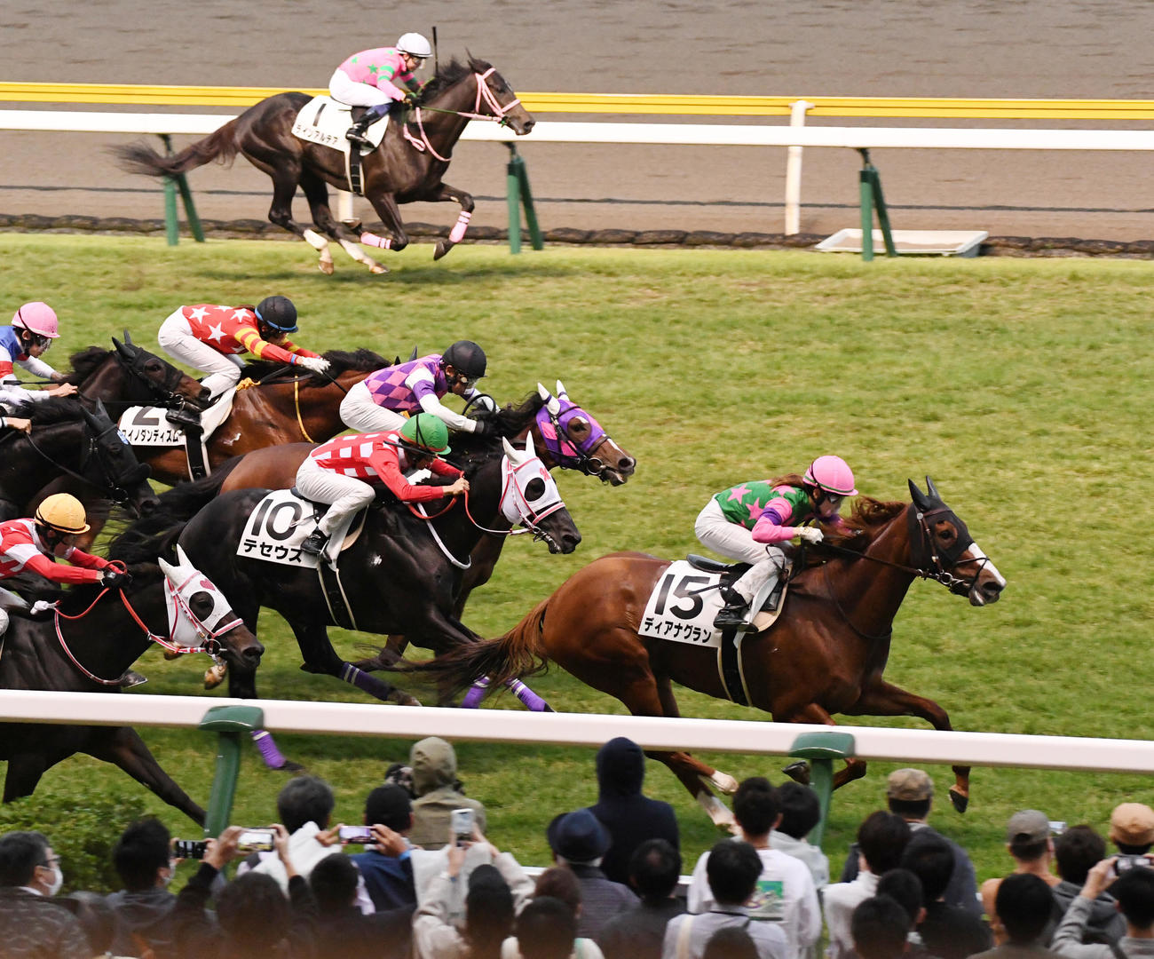 新潟12R、1着のディアナグランと藤田菜七子騎手（右）（撮影・柴田隆二）
