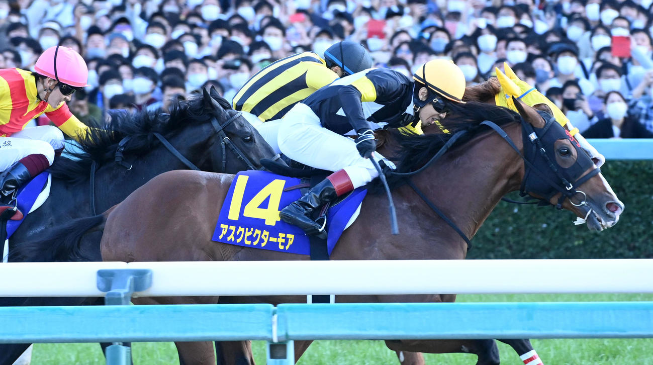 ボルドクフーシュ（内）を鼻差で破り菊花賞を制したアスクビクターモア（撮影・前岡正明）