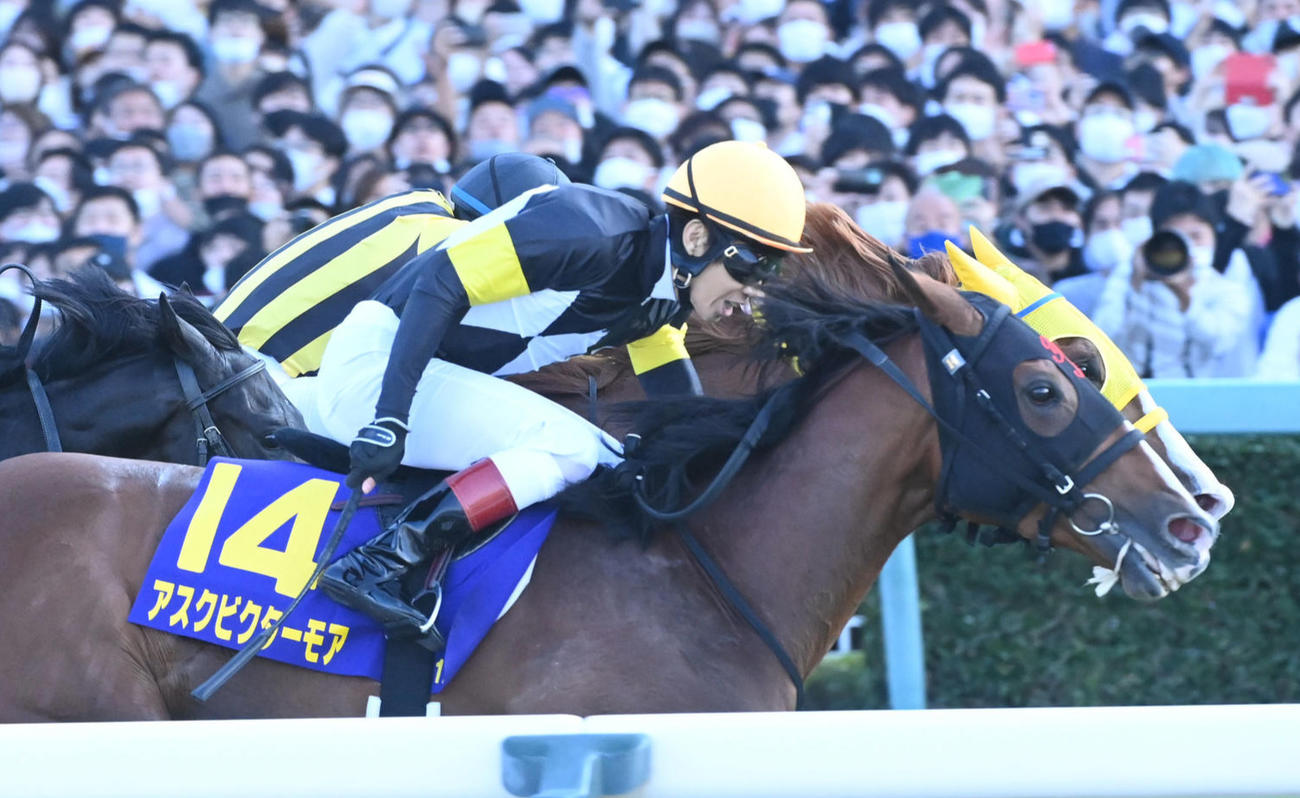 【菊花賞】社台F吉田照哉代表は生産馬ワンツー、広崎利洋オーナー「紙一重でした」 - 競馬写真ニュース : 日刊スポーツ