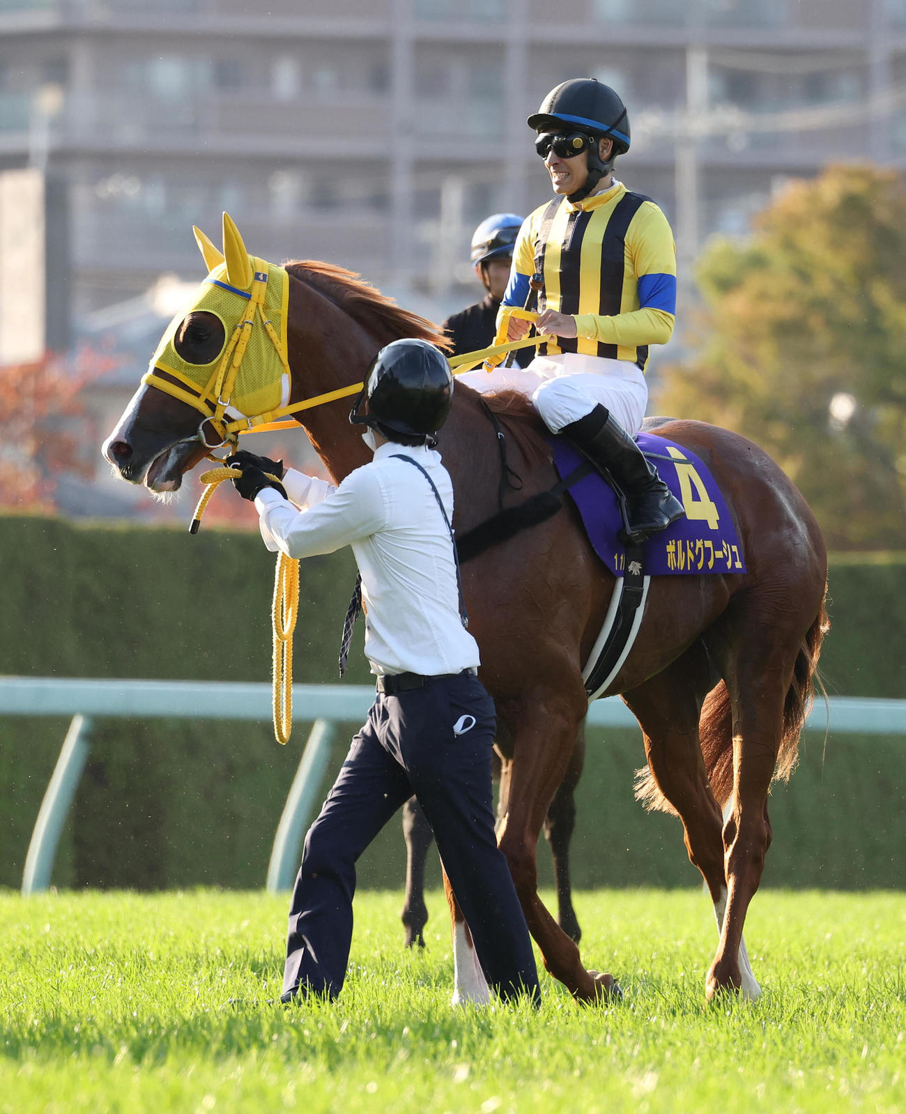 菊花賞、惜しくも2着に敗れたボルドグフーシュ（撮影・白石智彦）