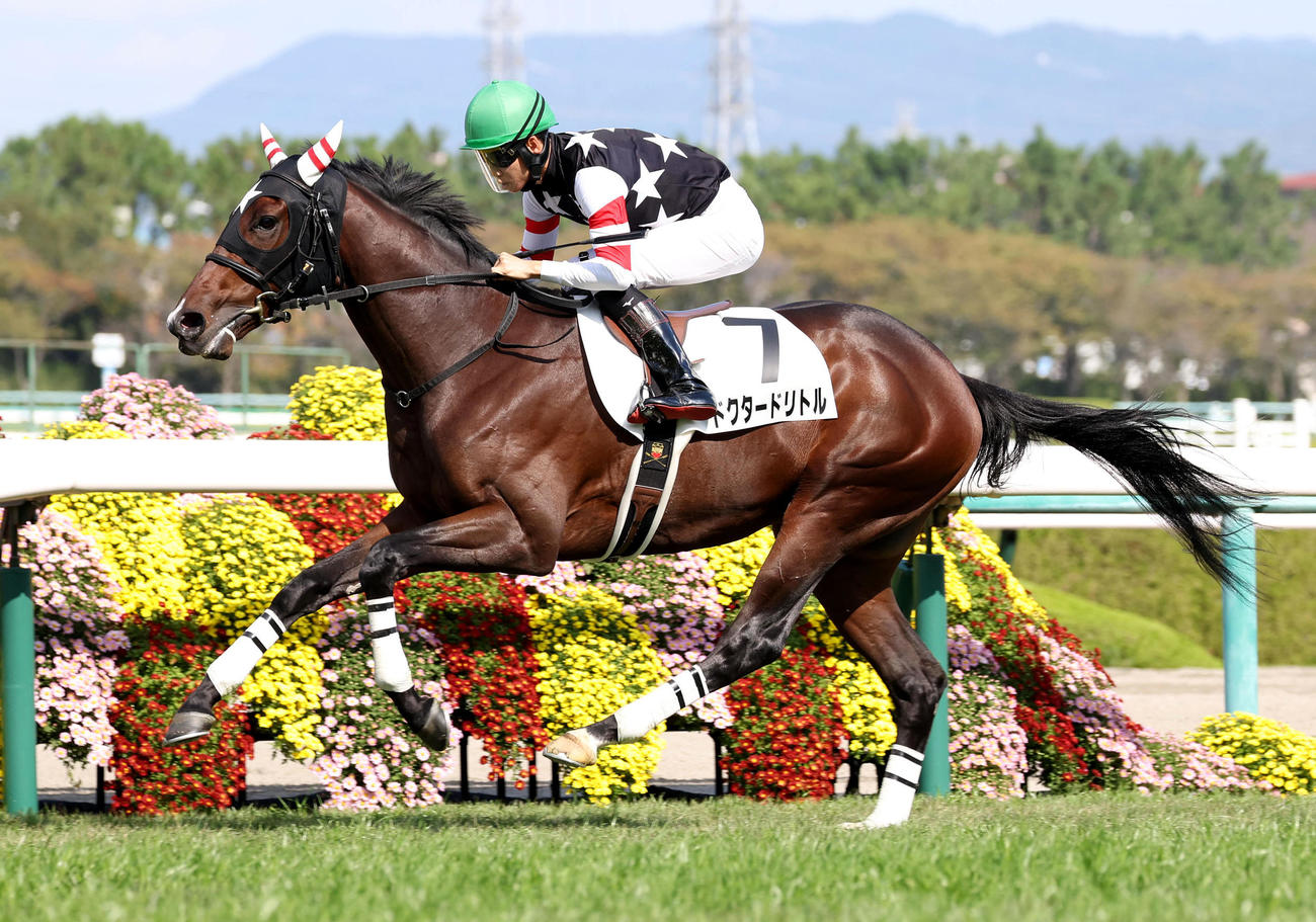 直線抜け出して新馬戦を制したドクタードリトル（撮影・白石智彦）