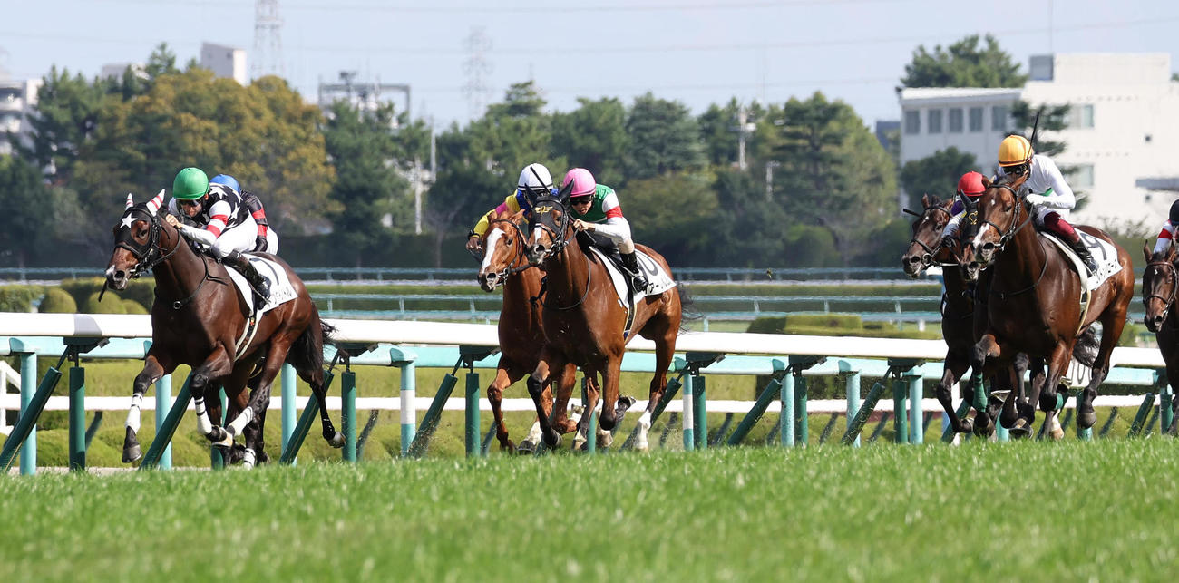 直線内から抜け出して新馬戦を制したドクタードリトル（左）（撮影・白石智彦）