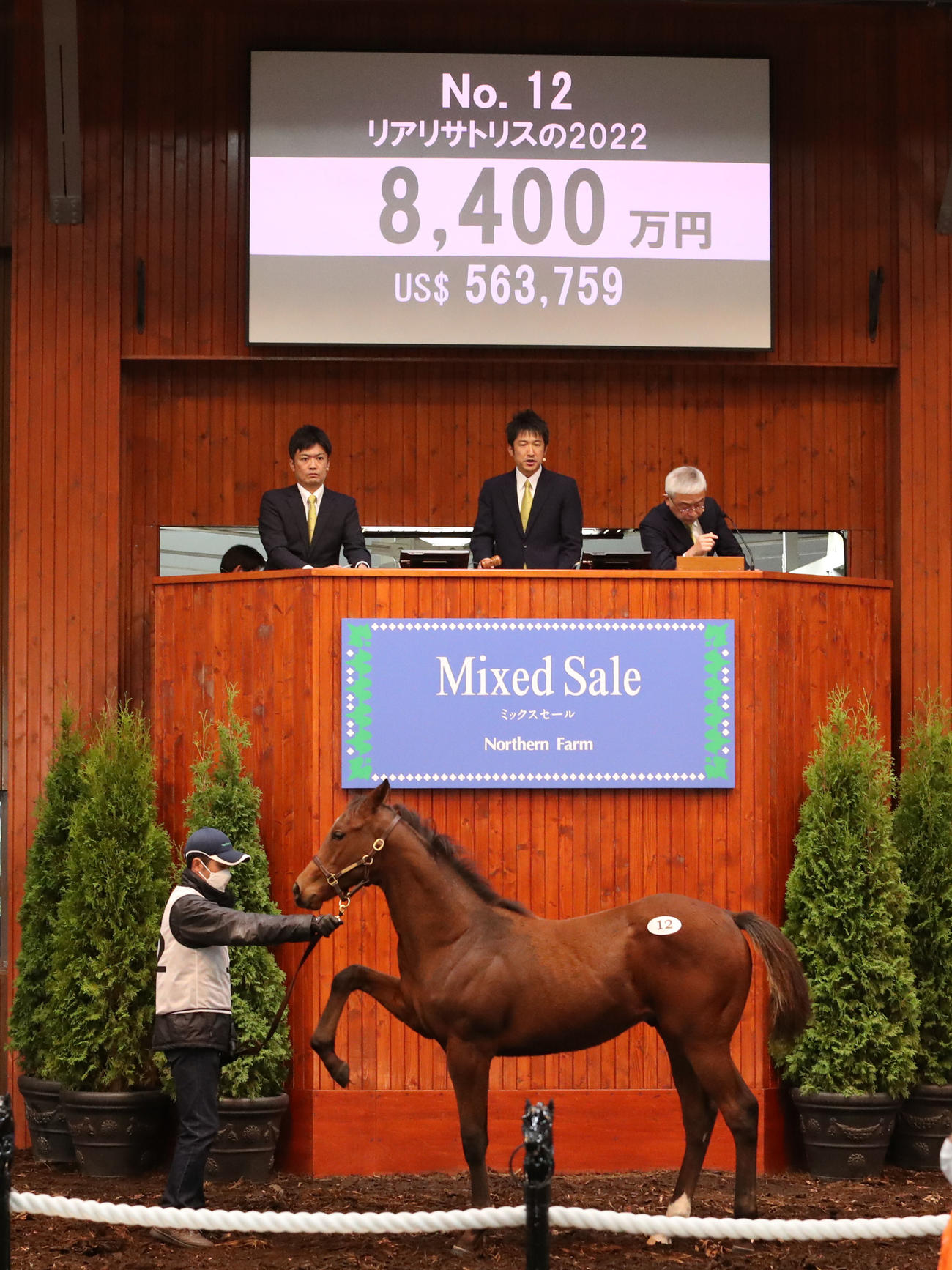 8400万円で落札されたリアリサトリス22（牡、父キタサンブラック）（撮影・佐藤翔太）