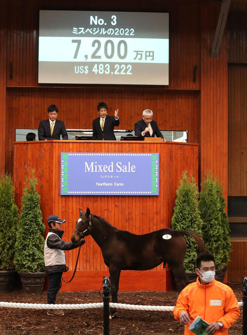 7200万円で落札されたミスベジル22(牡、American Pharoah)(撮影・佐藤翔太)