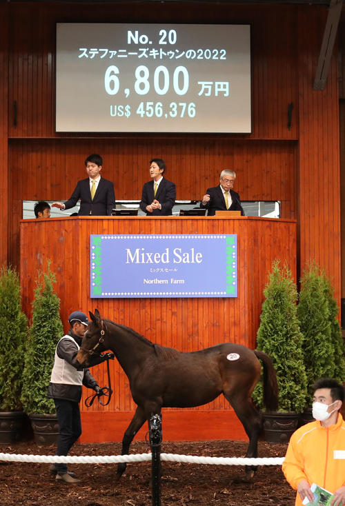6800万円で落札されたステファニーズキトゥン22(めす、父エピファネイア)(撮影・佐藤翔太)