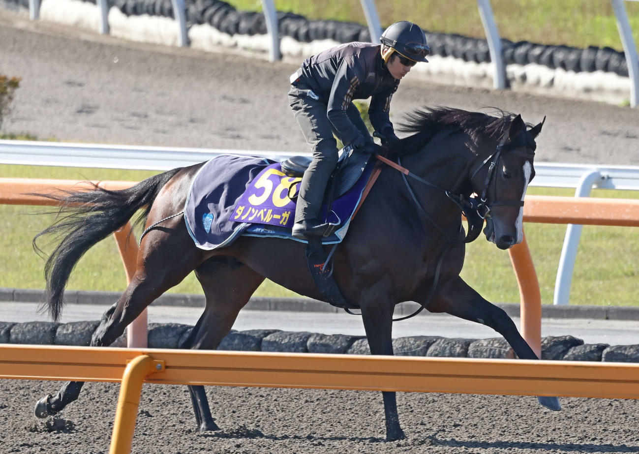 ダートコースで運動するダノンベルーガ（2022年10月20日撮影）