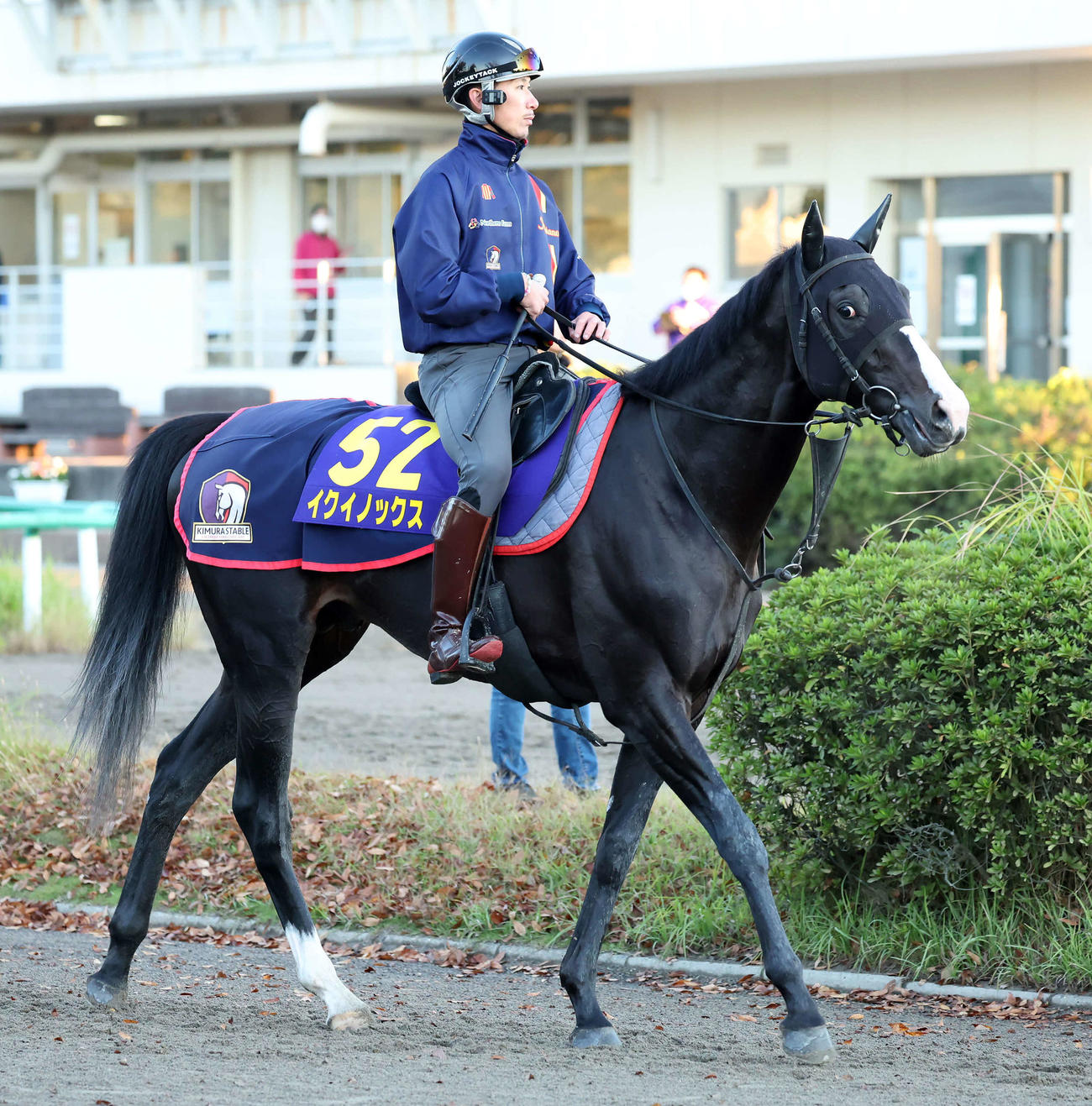 調教を終えて馬場を出るイクイノックス（2022年10月20日撮影）