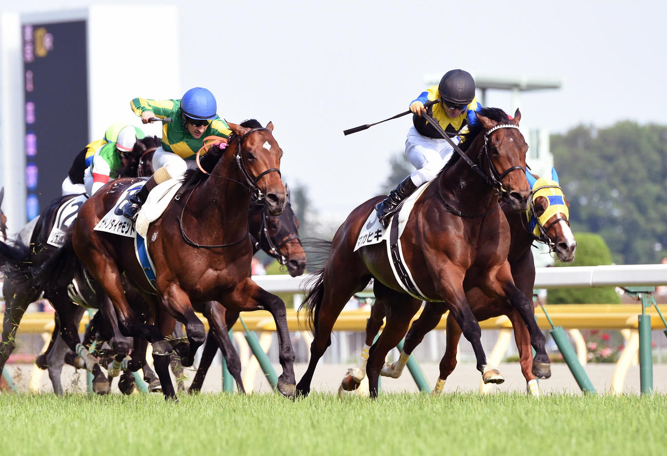 16年5月、直線での競り合いでサトノダイヤモンドをかわし日本ダービーを制したマカヒキ（右）