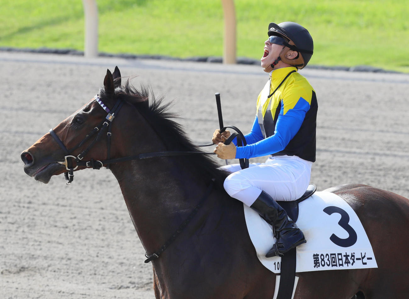 16年5月、日本ダービー　掲示板を見て勝利を確信したマカヒキの川田騎手は叫び声をあげる