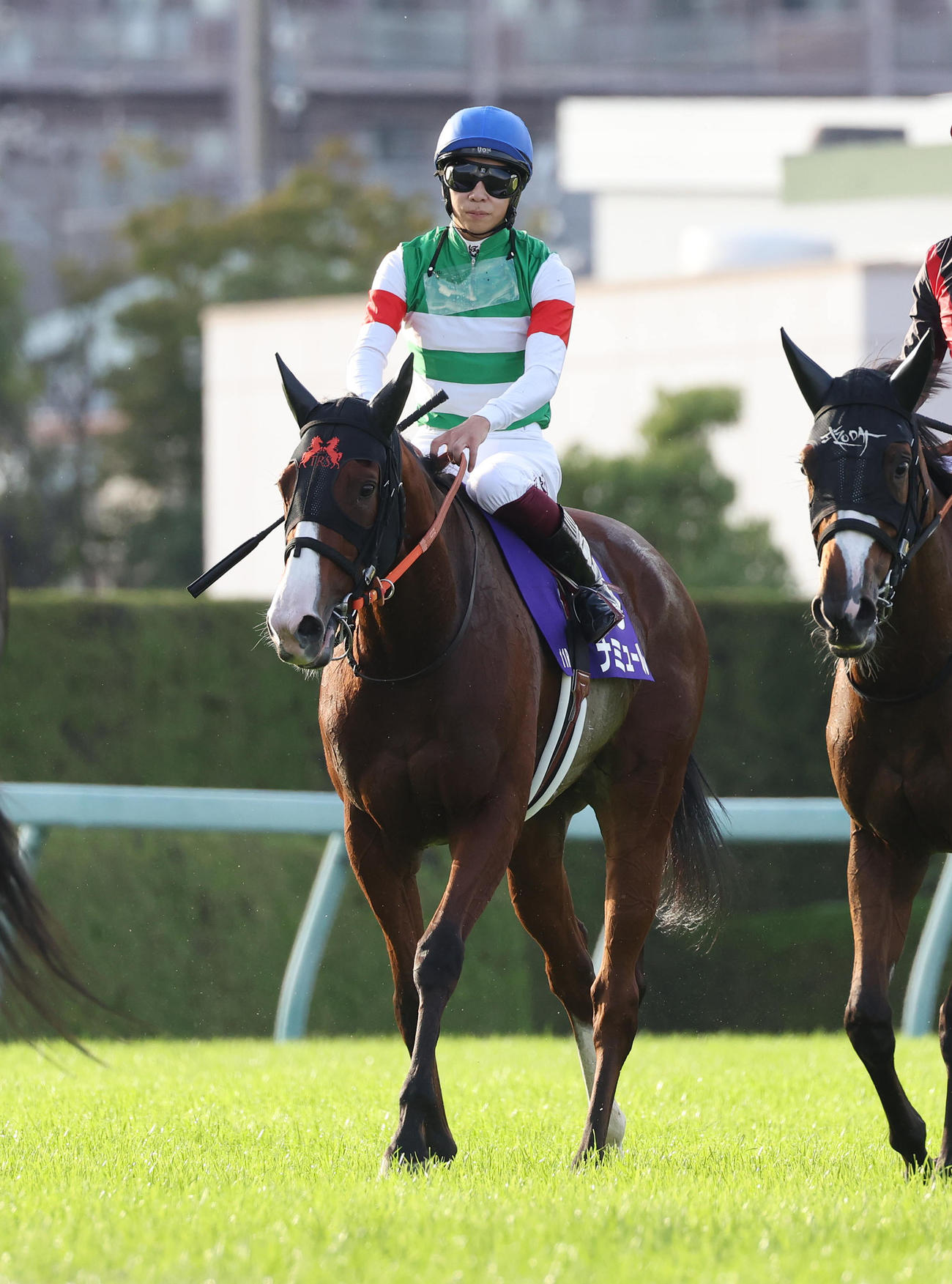秋華賞2着に敗れたナミュール（2022年10月16日撮影）
