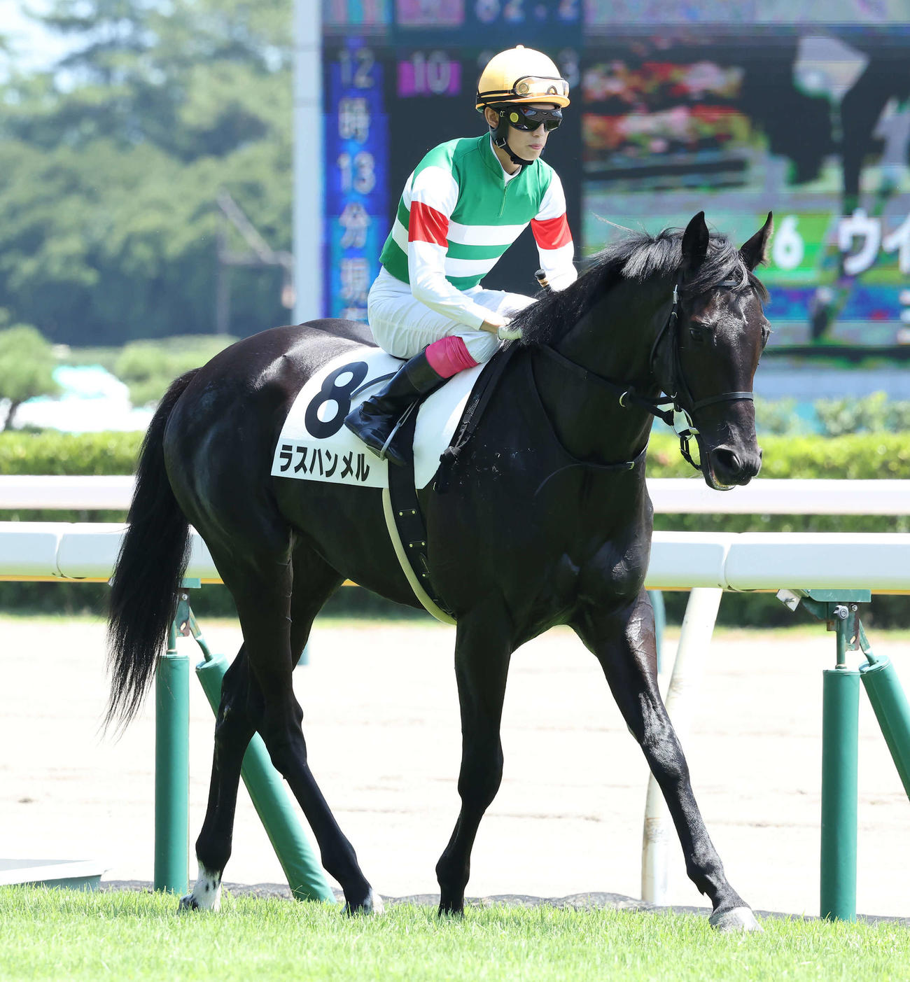 新潟5R、2歳新馬戦に出走したラスハンメルと藤岡康騎手（2022年7月31日撮影）
