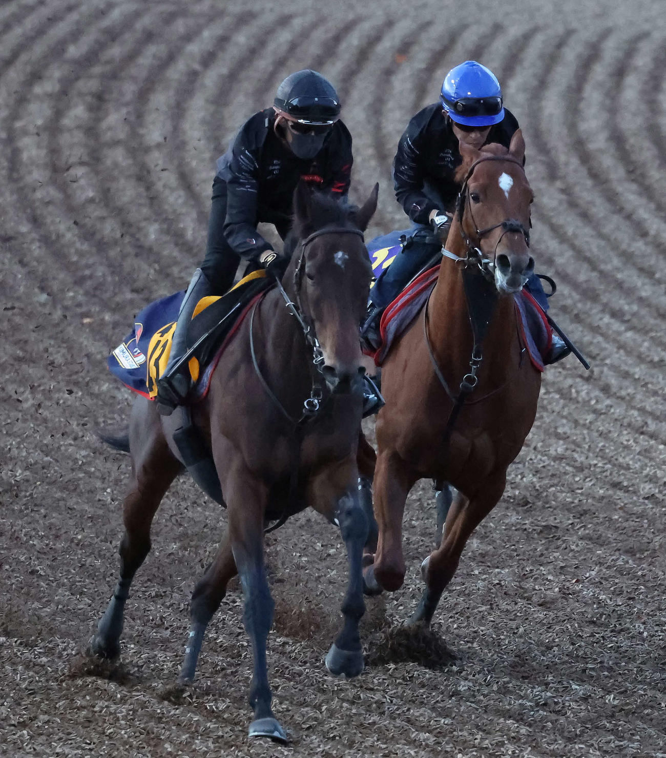 ジオグリフ（右）は福永騎手を背に美浦ウッドでカーペンタリアと併せて追い切られた（撮影・丹羽敏通）