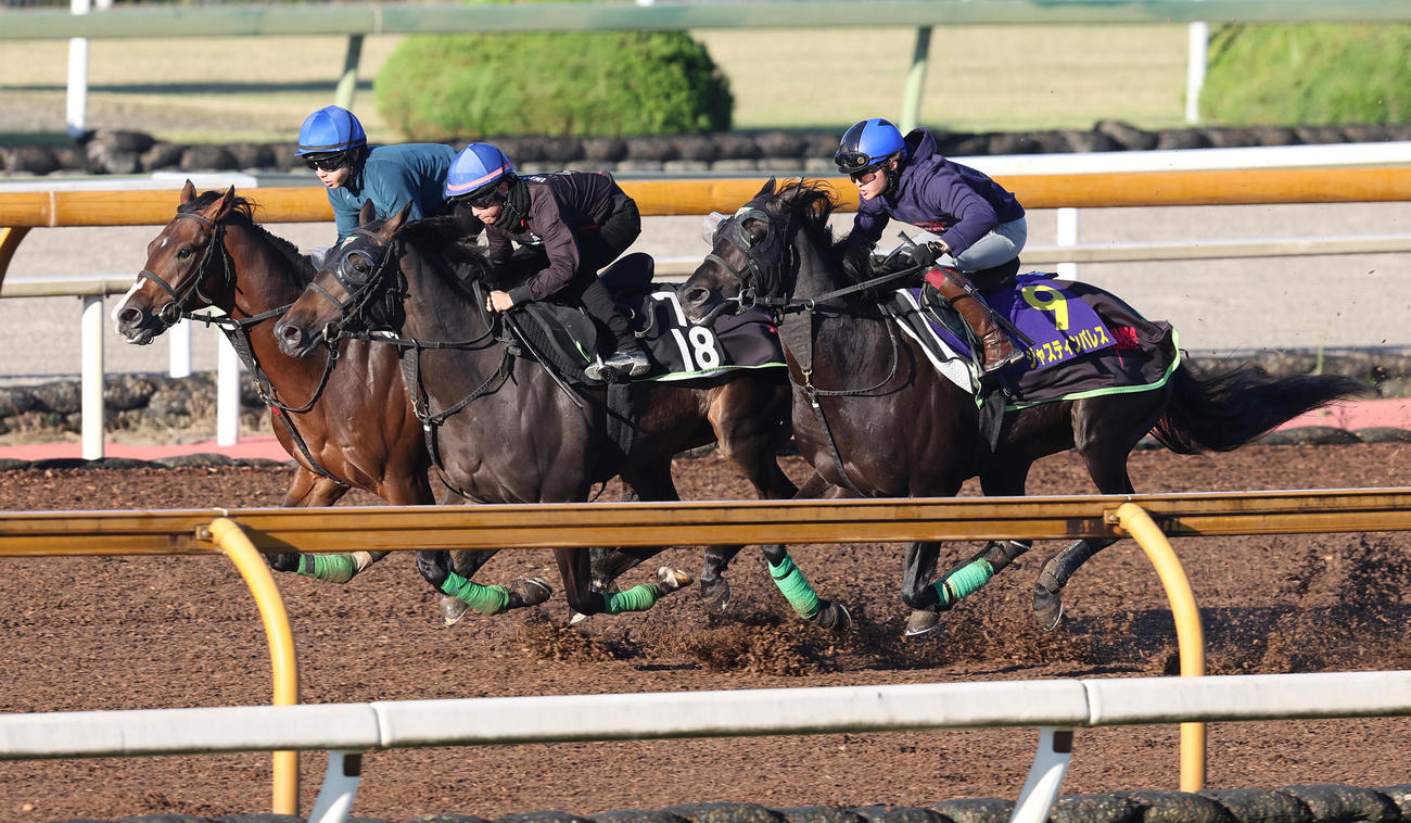 19日の追い切りで、デインバランス（中央）はジャスティンパレス（手前）に先着（22年10月19日撮影）